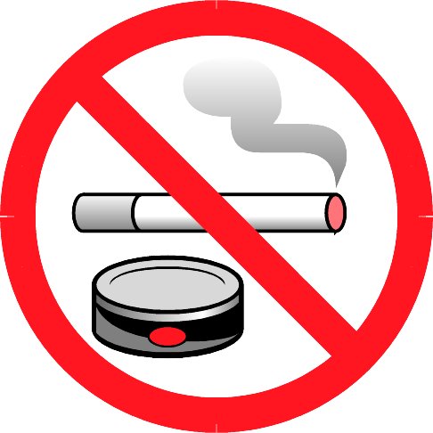 2008 - Smokeless Tobacco